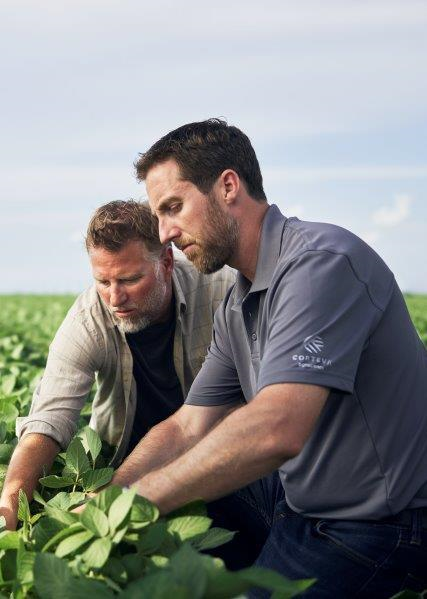 SUSTAINABILITY AT CORTEVA
